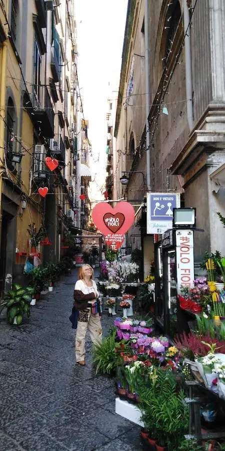 Bed & Breakfast Montesantogroup Sorrento Room Naples